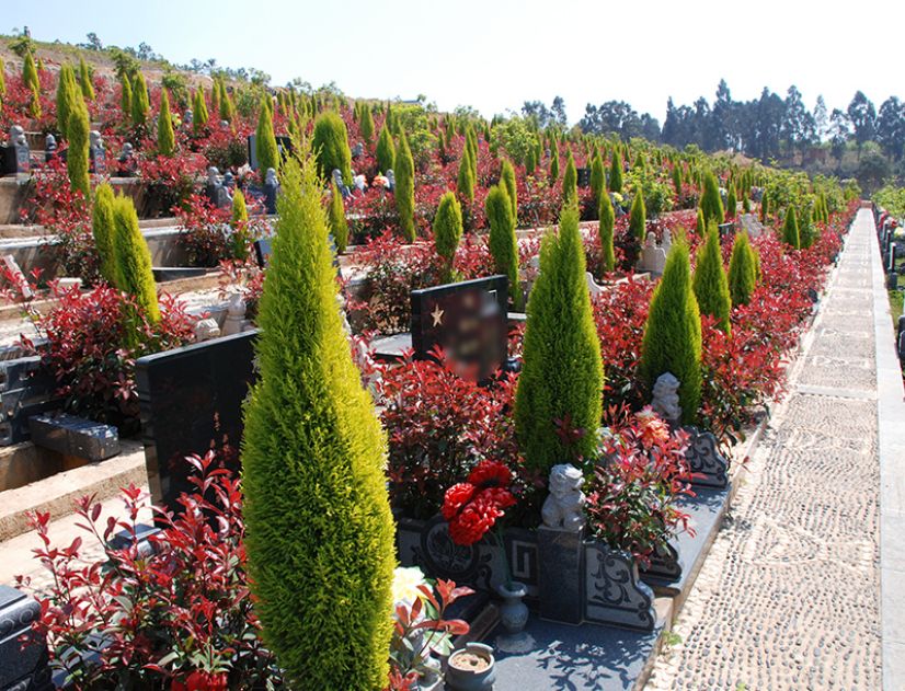 家里老人去世后，为什么要摔盆？摔盆有什么意义吗？