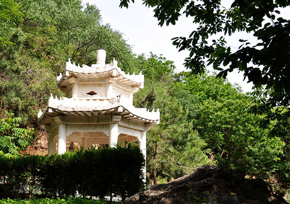 68208d9094991.jpg 6730d10b096a5.jpg